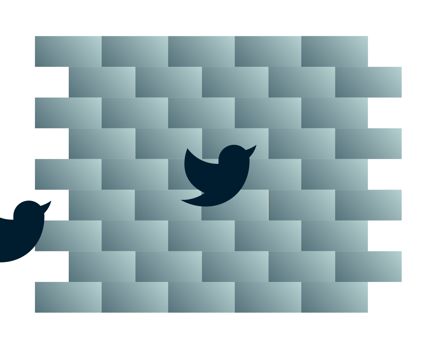 Los p&aacute;jaros de Twitter se dirigen a un muro.